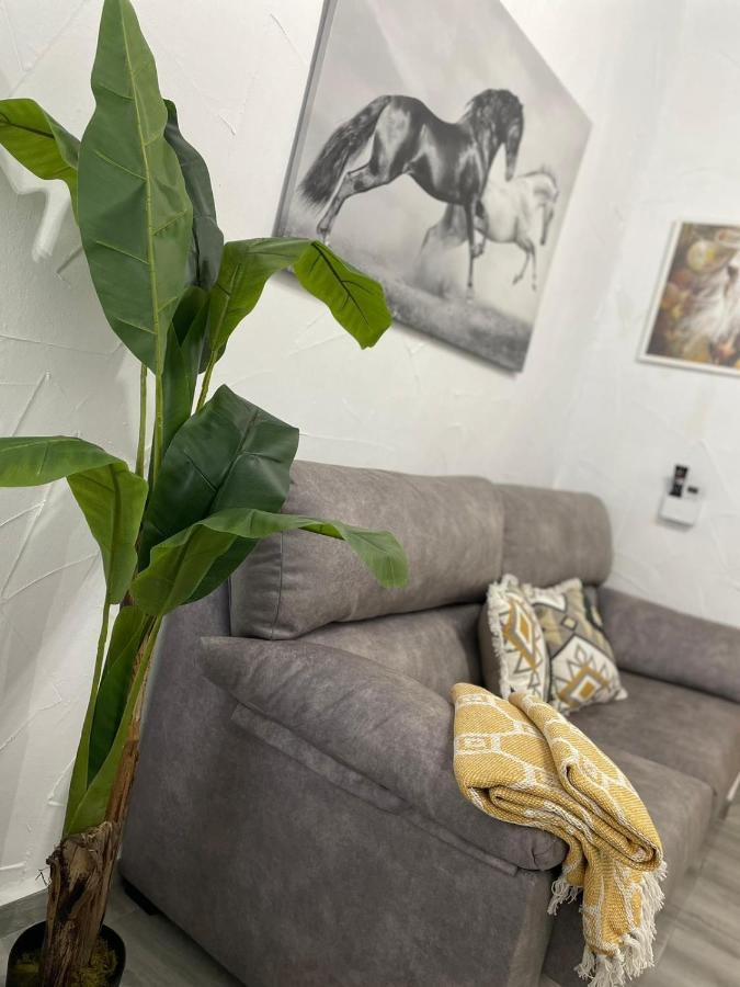 Ferienwohnung El Tablao Jerez de la Frontera Exterior foto